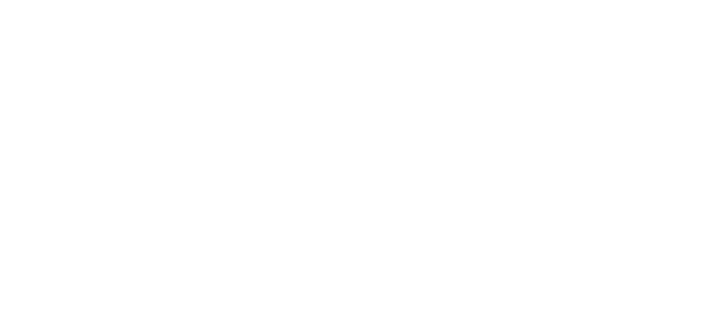 Wit logo van Praktijk Onderstroom, psychologiepraktijk in Ninove